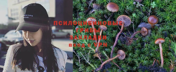 ПСИЛОЦИБИНОВЫЕ ГРИБЫ Абаза