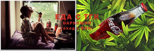 ПСИЛОЦИБИНОВЫЕ ГРИБЫ Абаза